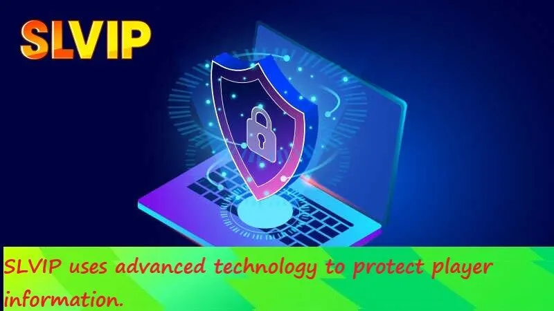 Content of SLVIP's privacy policy notes