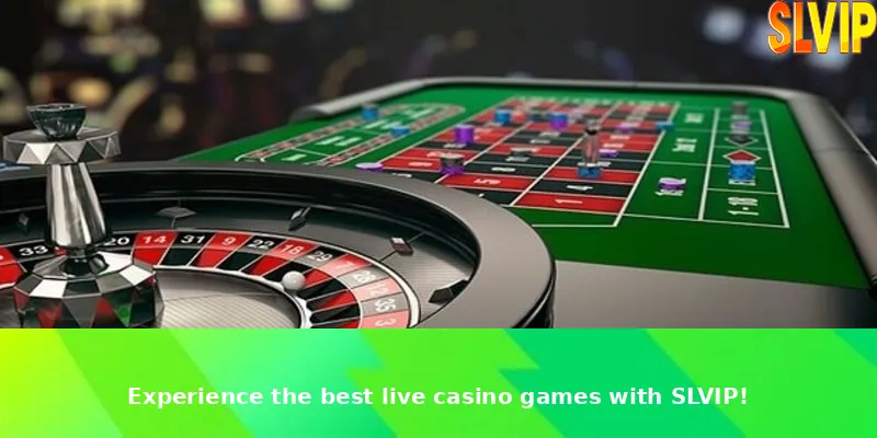 Experience the best live casino games with SLVIP!