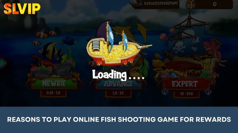 Reasons to play online fish shooting games