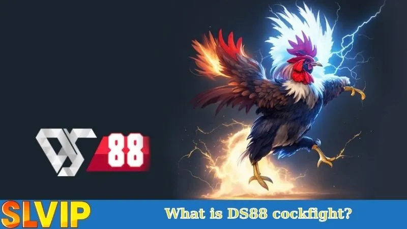 What is DS88 Cockfight?